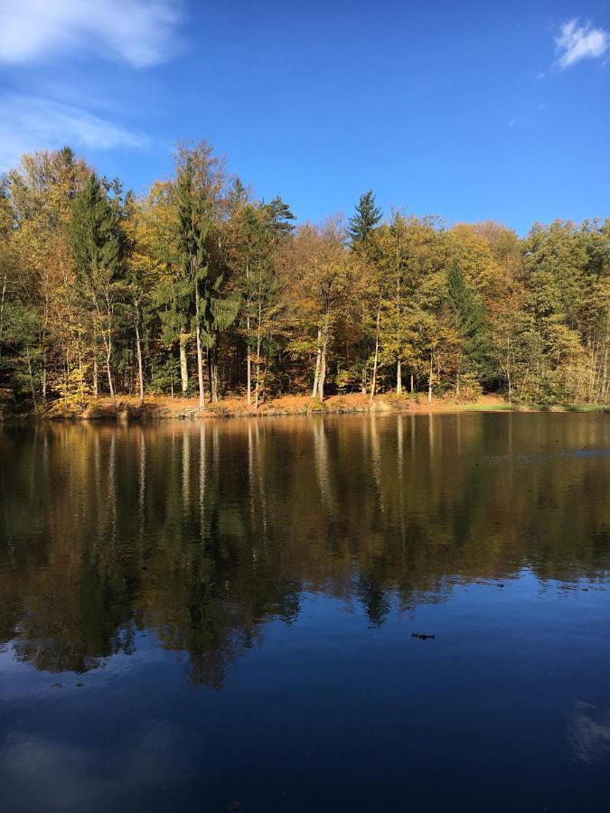 Kellerstoeckl Am Veganen Bio-Lebenshof "Varm - Die Vegane Farm" Daire Sulb Dış mekan fotoğraf