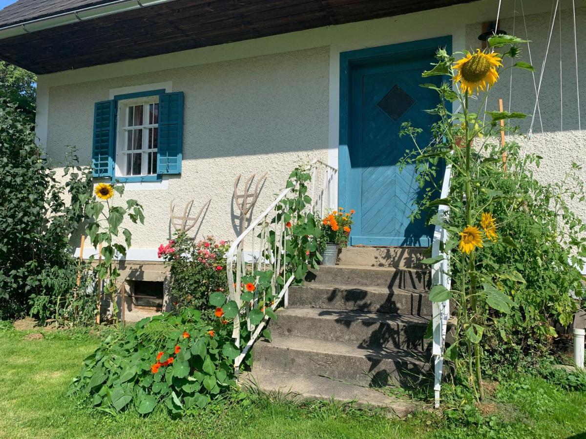 Kellerstoeckl Am Veganen Bio-Lebenshof "Varm - Die Vegane Farm" Daire Sulb Dış mekan fotoğraf