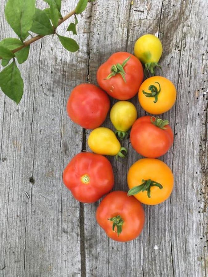 Kellerstoeckl Am Veganen Bio-Lebenshof "Varm - Die Vegane Farm" Daire Sulb Dış mekan fotoğraf