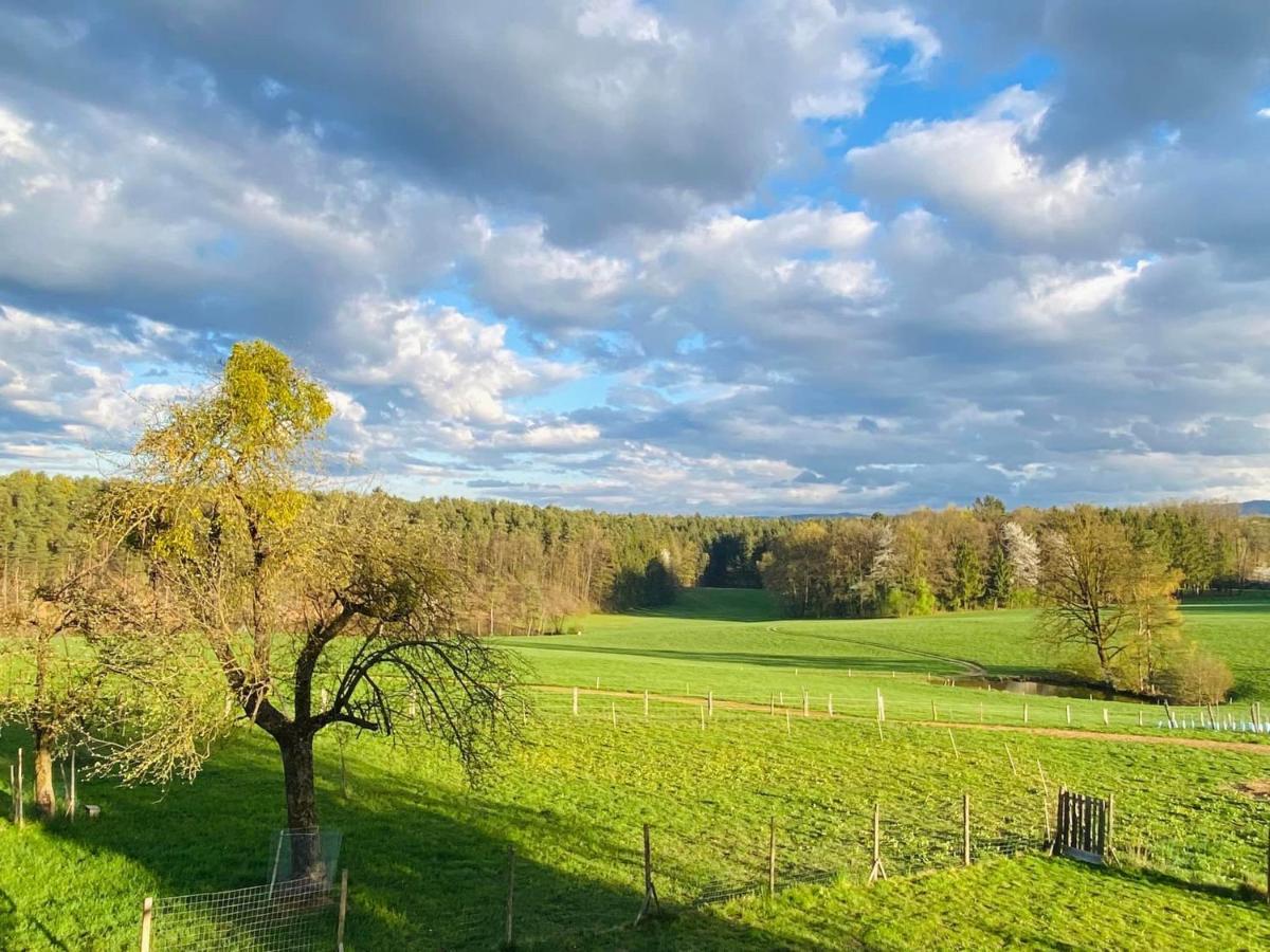 Kellerstoeckl Am Veganen Bio-Lebenshof "Varm - Die Vegane Farm" Daire Sulb Dış mekan fotoğraf