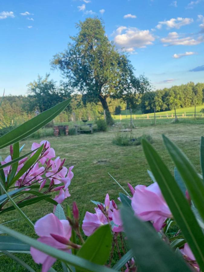 Kellerstoeckl Am Veganen Bio-Lebenshof "Varm - Die Vegane Farm" Daire Sulb Dış mekan fotoğraf